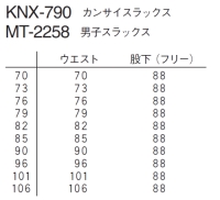 ナガイレーベン カンサイスラックス KNX-790